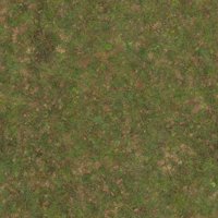 Asset preview